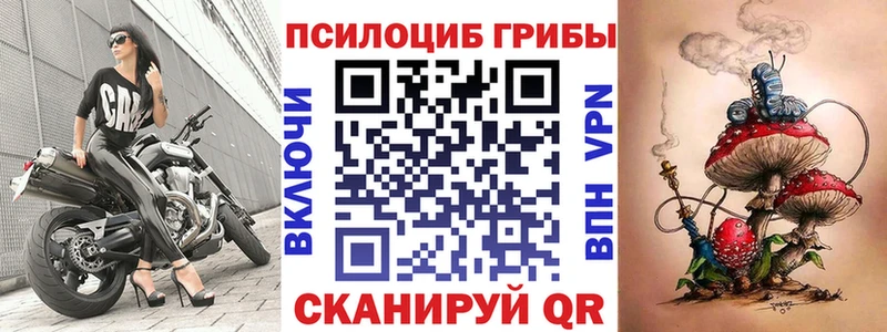 Галлюциногенные грибы ЛСД  мега tor  Грязи 